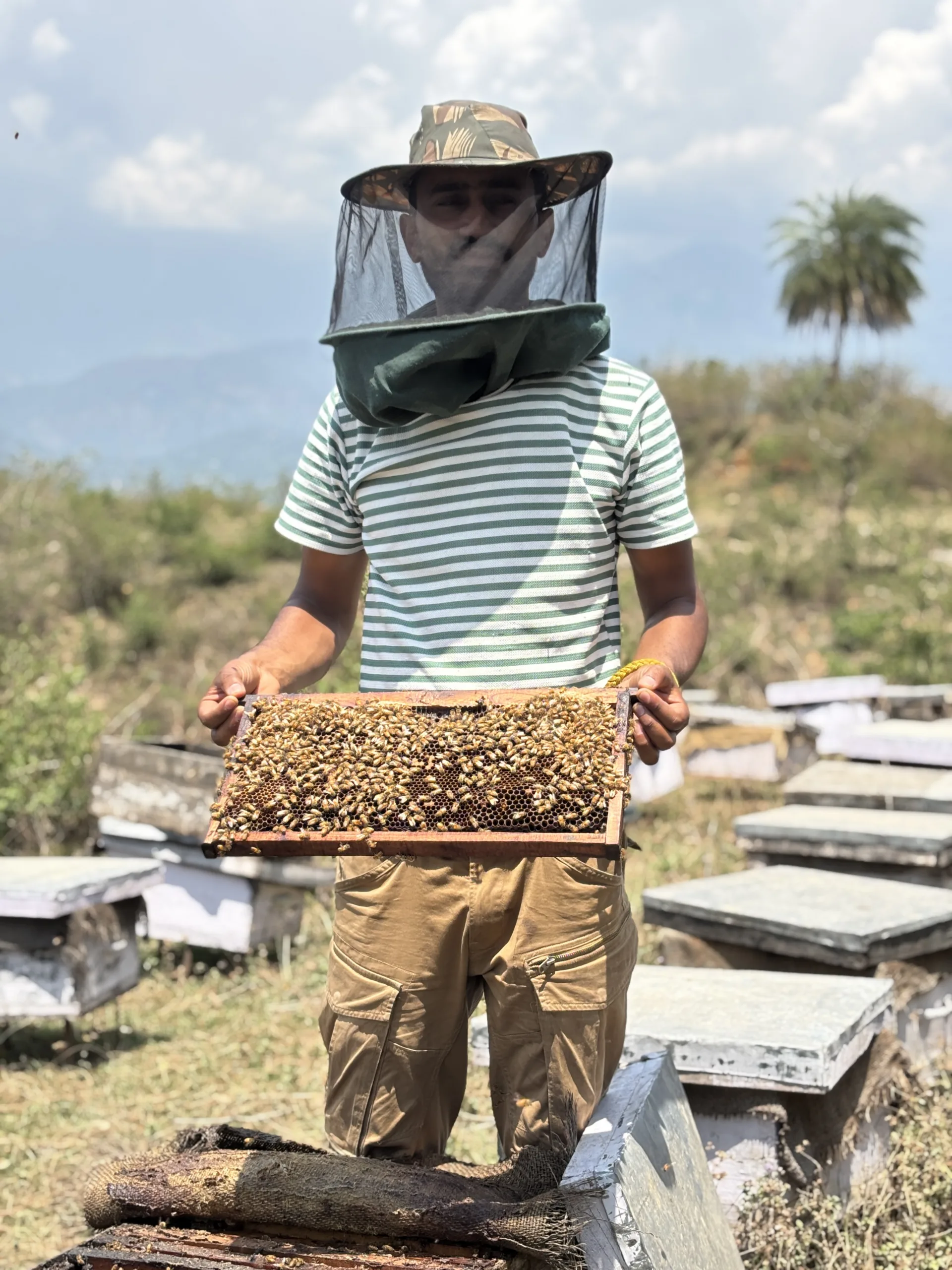 Himalayan Raw Honey