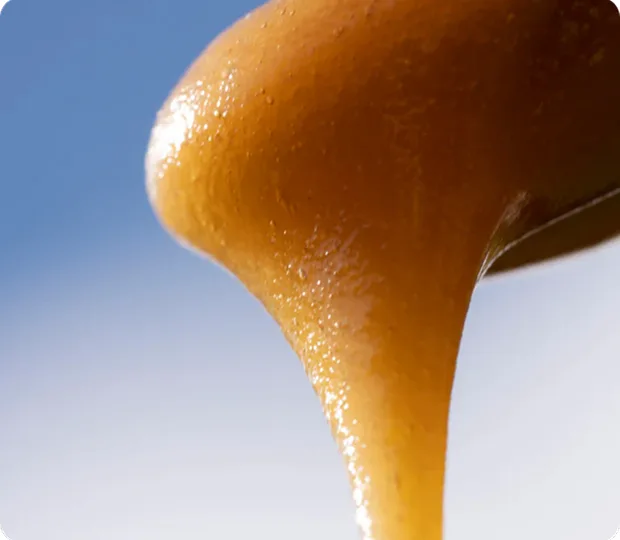 Honey Pouring