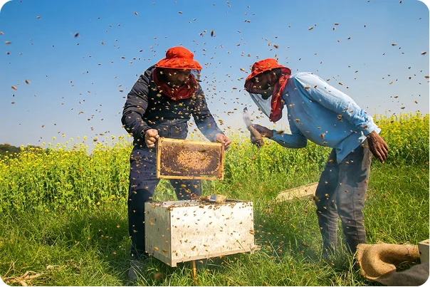 Beekeepers working in a Himalayan meadow